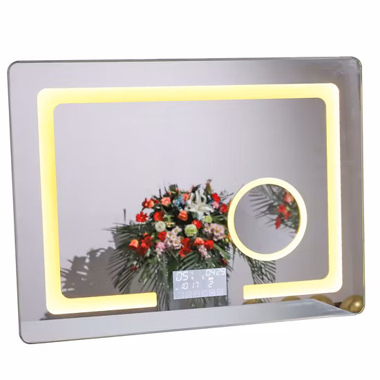 Factory Custom Size Oval Round Salon Light Vanity Mirror Bathroom Hotel Furniture Decorative LED Smart Bath Mirror